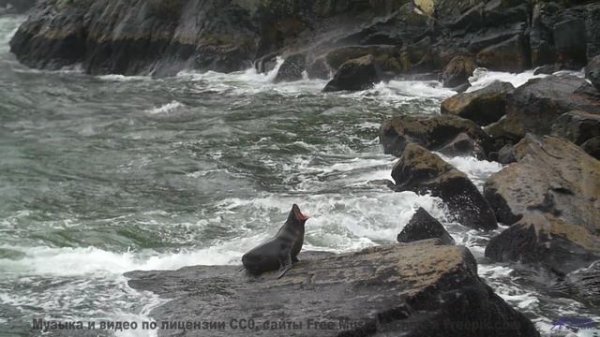 Это место НЕ ЛЮБИТ гостей! - A Strong Will Is Needed -- Derek Clegg -- Faces (re-release)