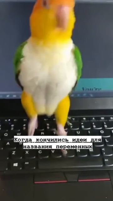 Закончились идеи смотреть онлайн