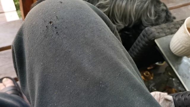 СОЧИ ГОРНОЕ ЛОО ВЕЧЕР 18.06.2025 смотреть онлайн