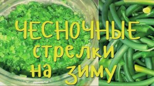 ЧЕСНОЧНЫЕ СТРЕЛКИ НА ЗИМУ рецепты