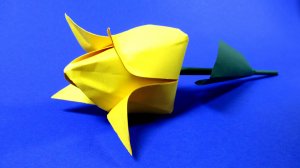 Как сделать тюльпан из бумаги. Простой тюльпан из бумаги пошагово