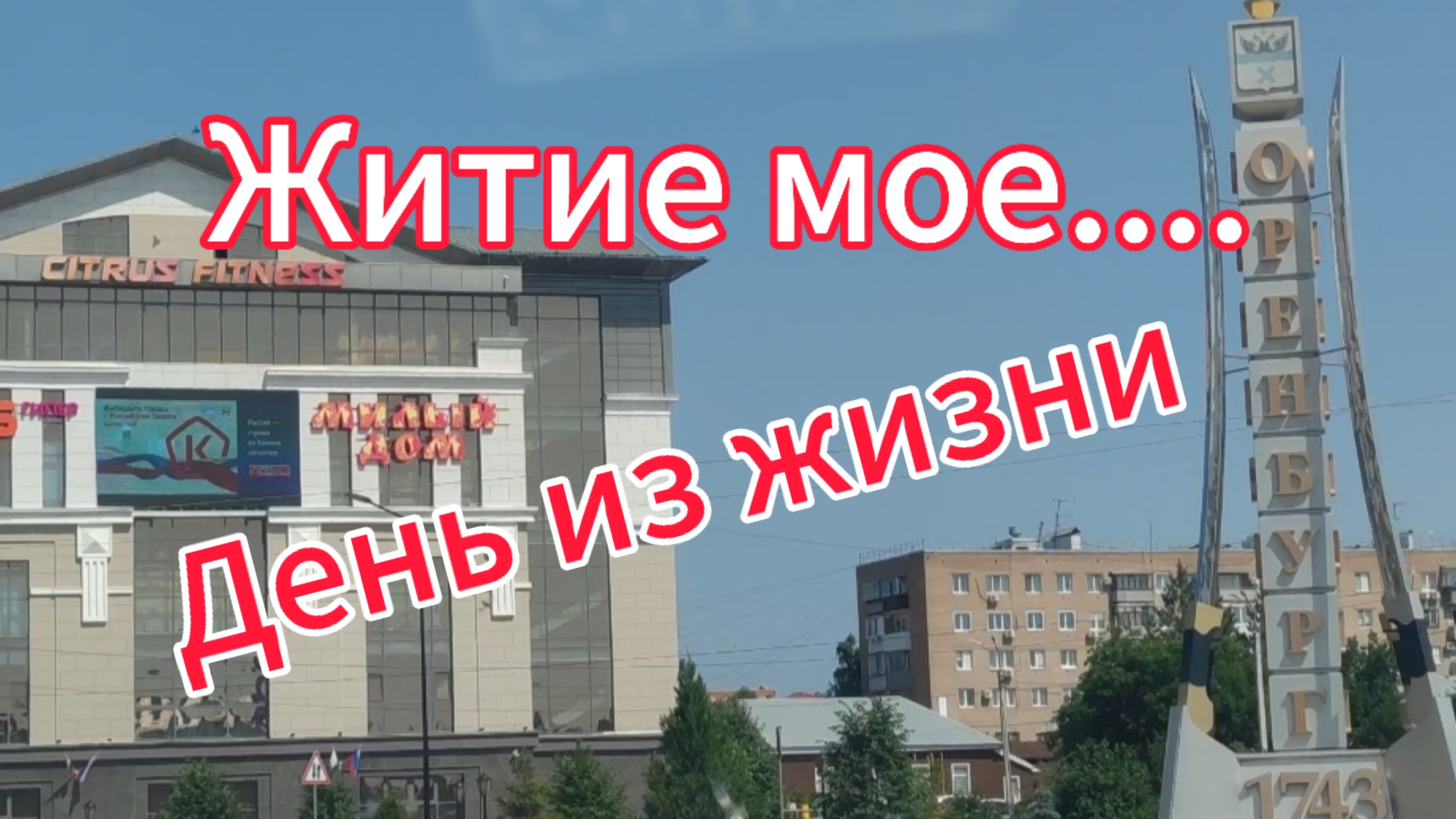 Житие мое... Один день из жизни. Чуть не попали в аварию. М-н Светофор смотреть онлайн