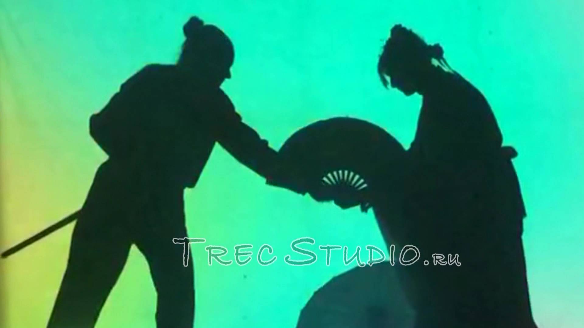 Шоу театр теней в Китайском и Японском стиле | Китайский и Японский танец с тенями 