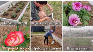 #128 ВЛОГ 🏡 Высадила перец. Подключаем интернет! Обработка от сорняков. Начались ливни