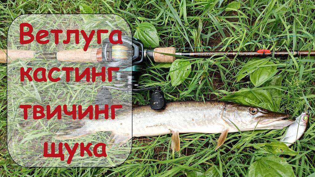 Ветлуга кастинг твичинг щука смотреть онлайн