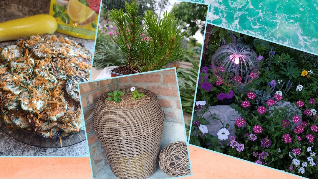 Кашпо из ротанга ,сделала из того ,что есть... Любимые кабачки... Новые растения... смотреть онлайн