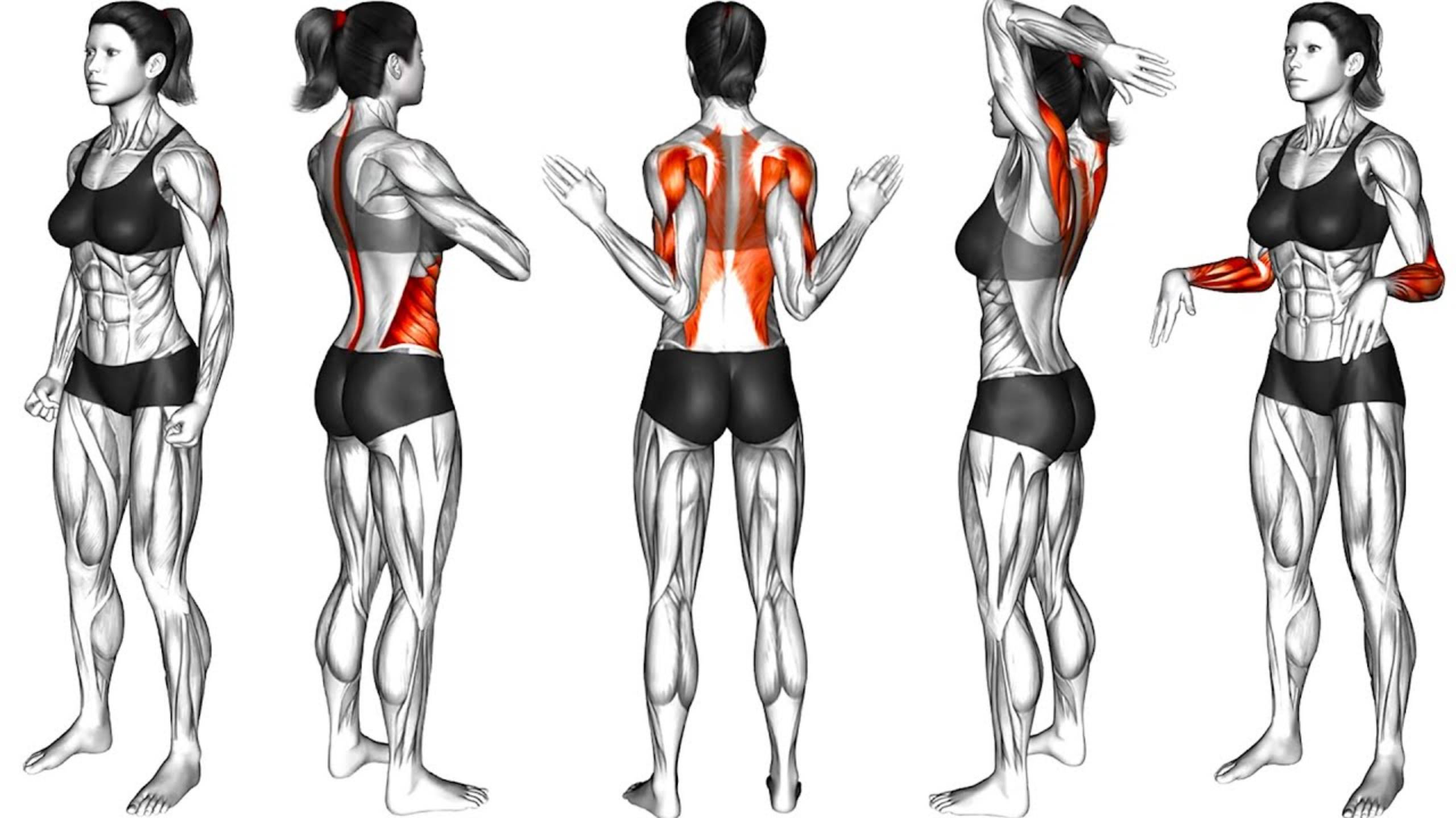 15 разминочных Упражнений для выполнения ДОМА смотреть онлайн