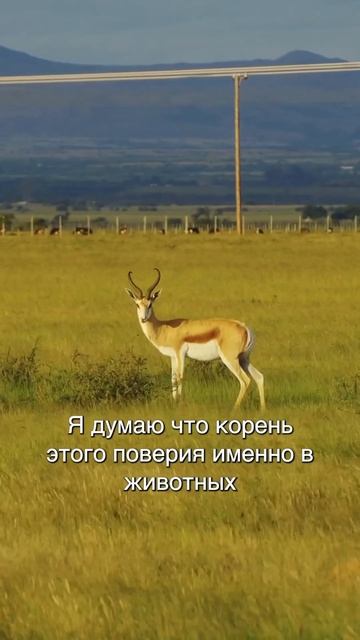 Не забываем, что мы в Африке! Полное видео уже на канале