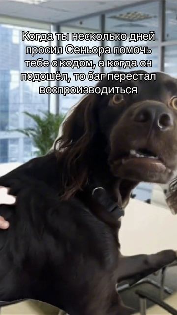 Программист смотреть онлайн