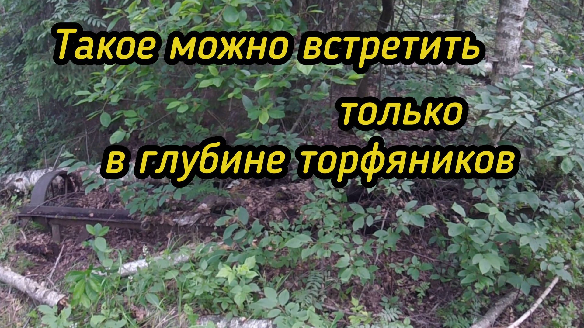 Металл есть,цены нет..Такая реальность! смотреть онлайн