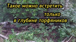 Металл есть,цены нет..Такая реальность!