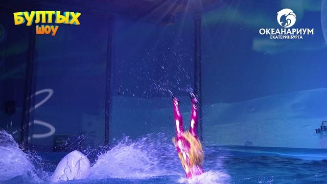 Новое Бултых шоу в Океанариуме Екатеринбурга! смотреть онлайн
