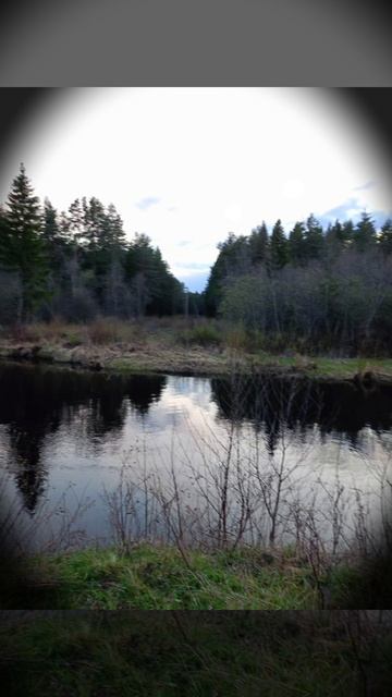 Природа смотреть онлайн