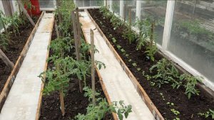 С помощницей РАБОТА быстрей идёт. МОЛОЧНЫЙ КОКТЕЙЛЬ 🥤