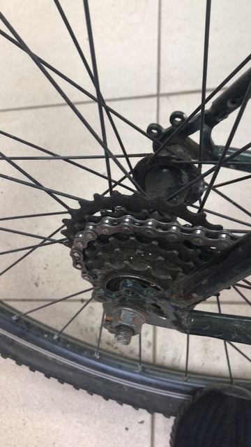 18-06-2025 смотреть онлайн