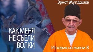 Как меня чуть не съели волки. Истории из жизни 8. #мулдашев