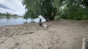 Рассказываю как меня СПАСЛИ! Мусор в парке весь УБРАЛИ! #мамаотличника #паркикраснодара