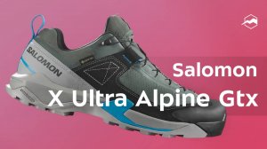 Кроссовки Salomon X Ultra Alpine Gtx