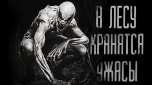 В ЛЕСУ ХРАНЯТСЯ УЖАСЫ...  | ЖУТКАЯ ИСТОРИЯ | СТРАШНЫЕ ИСТОРИИ НА НОЧЬ