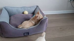 Переехали в новый дом