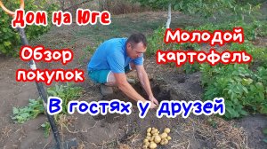 Дом на Юге.  Копаем молодую картошку. Убрали чеснок. В гостях у друзей.
