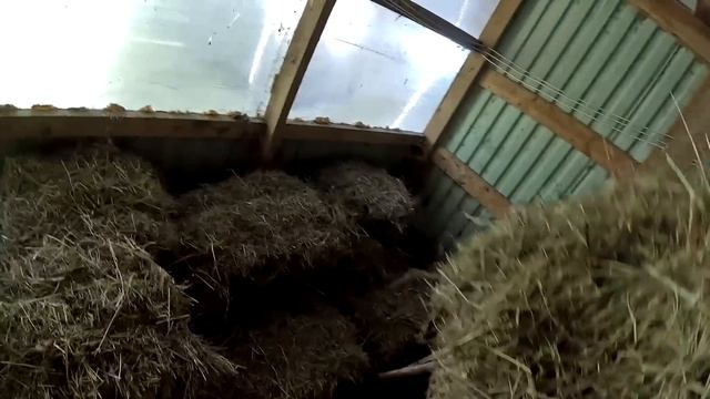 У них теперь новый дом ! Дорогу не сделали ! ХУТОР В ЛЕСУ №714 смотреть онлайн