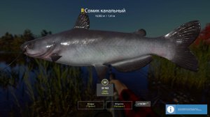 ТРОЛЛИНГ НА ЛОСИНОМ, ТОЧКИ С ТРОФЕЯМИ ОБЗОР ОБНОВЛЕНИЯ В РУССКОЙ РЫБАЛКЕ 4 РР4
