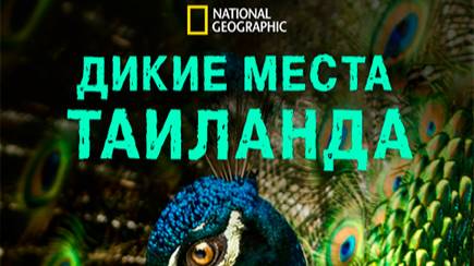 Дикие места Таиланда 1 серия | NAT Geo смотреть онлайн