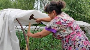 Мои помощники. Поездка в грозу. У нас появился двойник. Построили новый дом. Жизнь семьи в деревне.