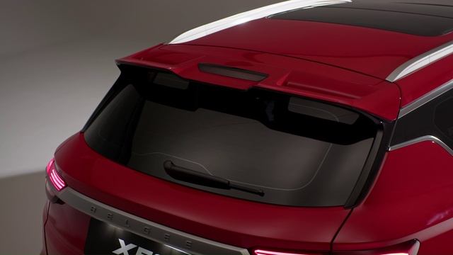 Прагматика Белджи х50