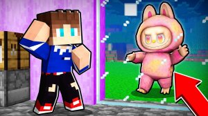 ПРИЗВАЛ РОЗОВУЮ ИГРУШКУ ЛАБУБУ В СВОЙ МИР В МАЙНКРАФТ МУЛЬТИК LABUBU