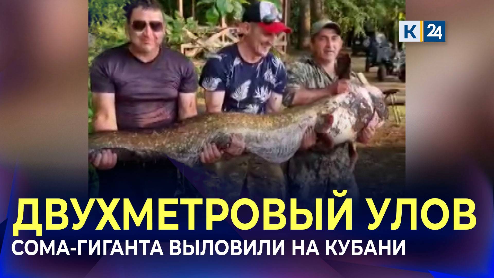Двухметрового сома весом со среднюю женщину поймали рыбаки в Динском районе смотреть онлайн