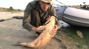 КРУПНЫЙ ДИКИЙ САЗАН ПРОСТО НА ЧЕРВЯ!!! ГНЁТ И ДАВИТ - РЫБАЛКА НА КРУПНОГО САЗАНА