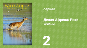 Дикая Африка: Реки жизни 3 серия «Хоаниб» (документальный сериал, 2018)