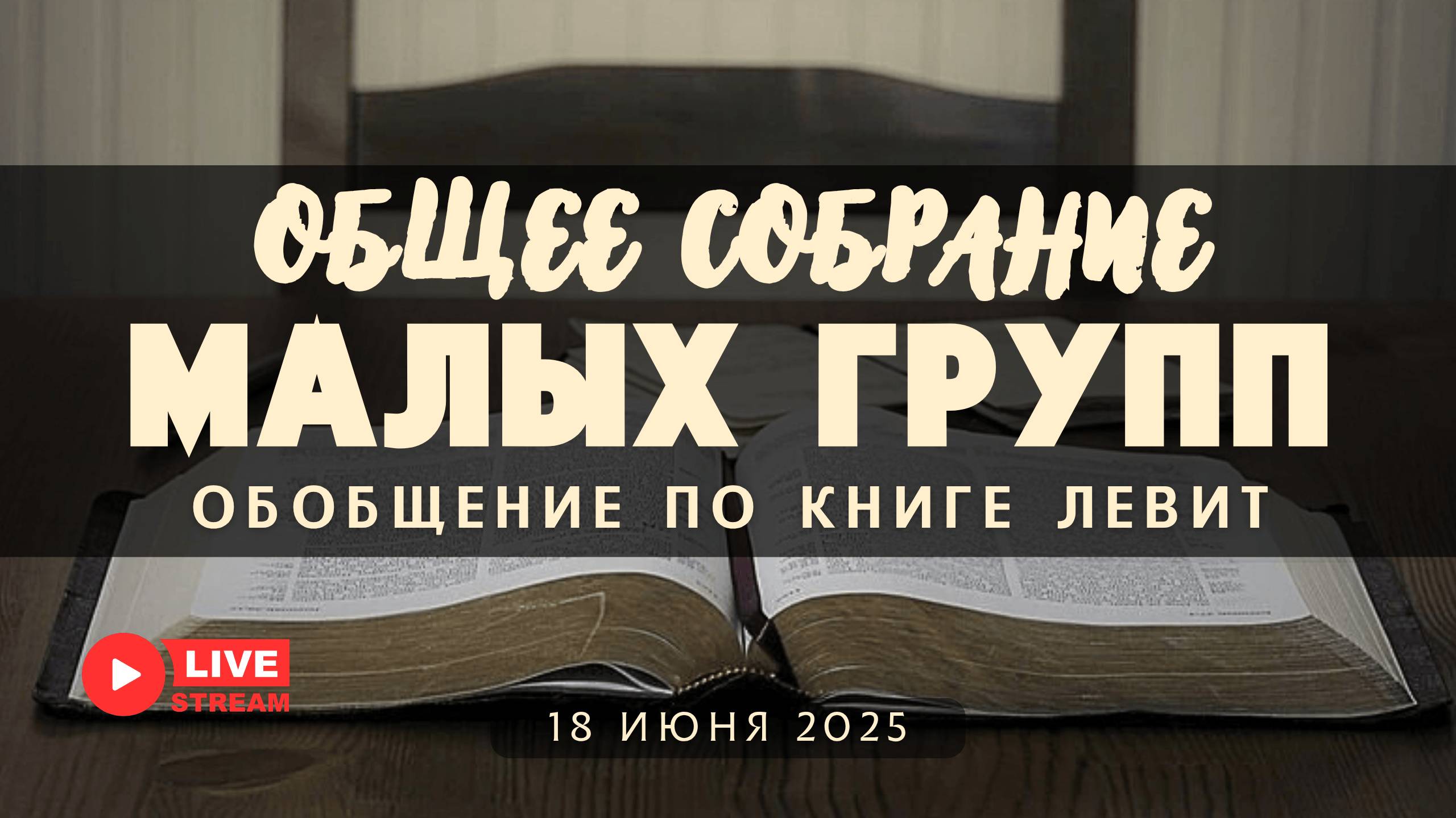 МалыеГруппы – Левит:Обобщение по книге | 18' 06' 2025' смотреть онлайн
