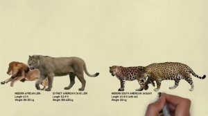 Сравнение размеров крупнейших доисторических животных и их современных родственников