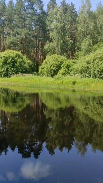 (27) Библия Евангелие от Иоанна глава 7 стих 9-19 смотреть онлайн