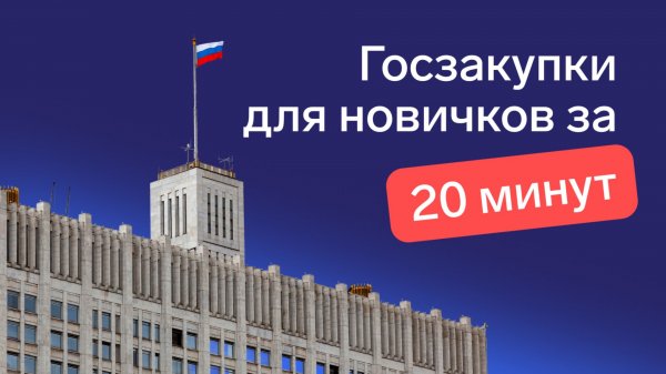 Как участвовать в тендерах: инструкция для новичков