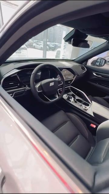 Прагматика Джили Кневстар 001