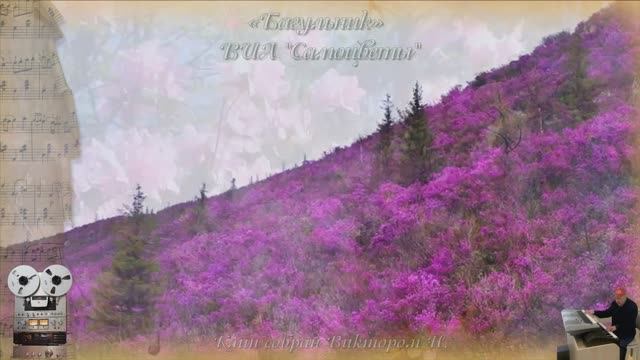 «Багульник»
ВИА "Самоцветы" смотреть онлайн