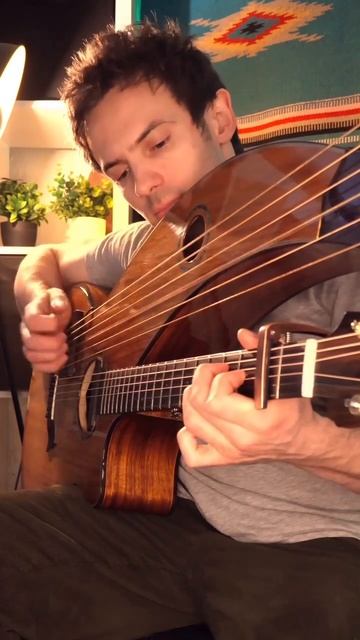 Wicked Game на двухгрифовой гитаре-арфе🎶 смотреть онлайн