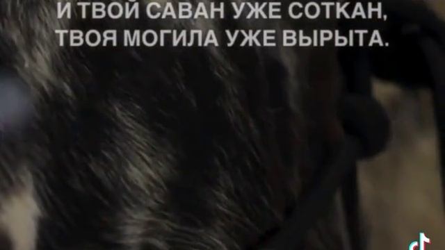 18-06-2025 смотреть онлайн