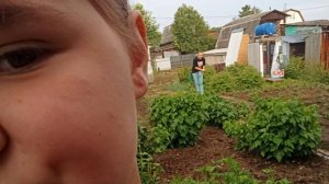 Сидим с бобром на даче у бабушки. Шутка. С папой и моей подружкой приехали на дачу