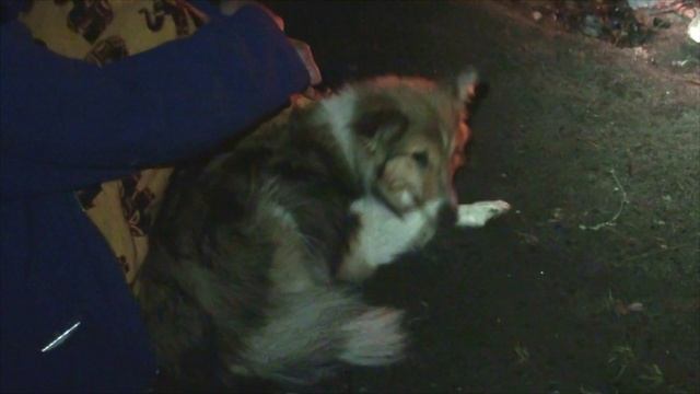 Лета июль2020 Нерская 3