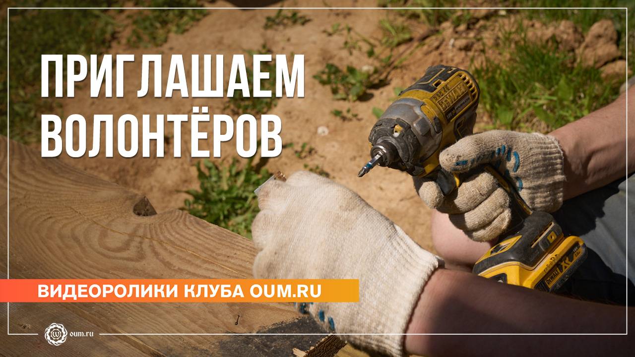 Приглашаем волонтёров! смотреть онлайн