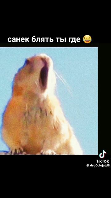 хз что это 2.0