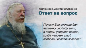 Почему Бог дал человеку свободу воли, но устроил потоп, когда человек этой свободой воспользовался?