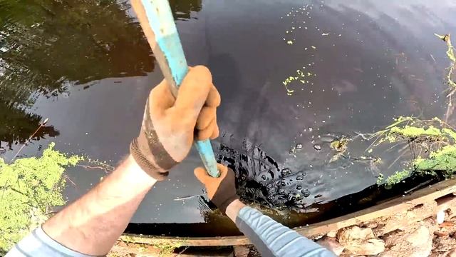 Кто ест корм в пруду ? Маленькие фазанята! Бобёр чудит ! Разобрал трактор ! ХУТОР В ЛЕСУ №725 смотреть онлайн