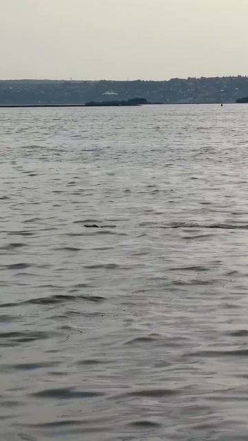 Крутой катер на радиоуправлении 4.490₽, сайт cars-kids.com . HJ818 смотреть онлайн