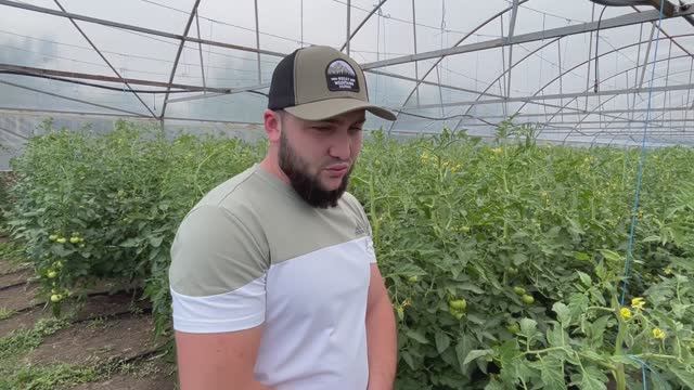 17-06-2025 г. Одним из амбициозных фермеров района является Тимур Сокуров смотреть онлайн